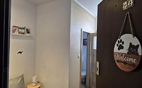 Mieszkanie na Grunwaldzkiej (44)
